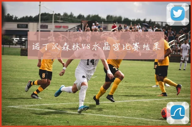 诺丁汉森林vs水晶宫比赛结果