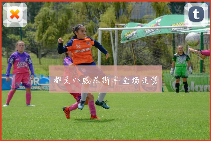 都灵vs威尼斯半全场走势