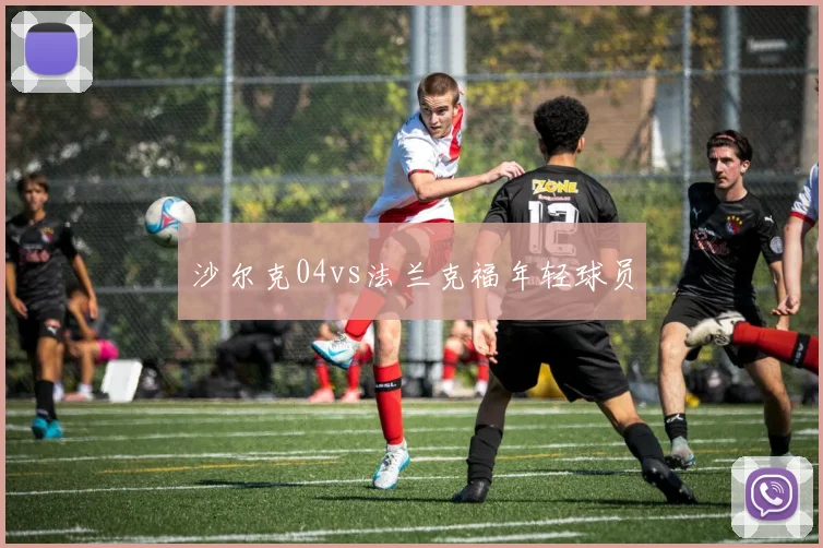 沙尔克04vs法兰克福年轻球员