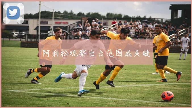 阿利松观察出击范围成关键